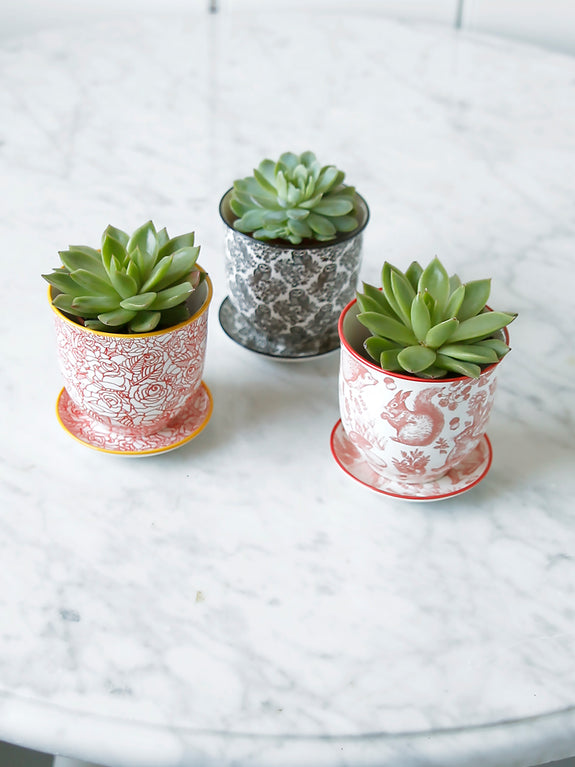 Porcelain Animals And Florals Plant Pot With Saucer