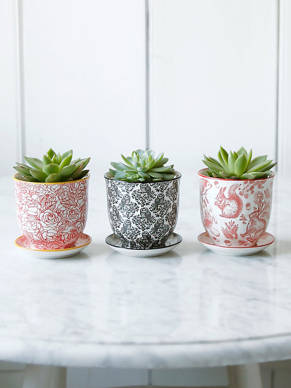 Porcelain Animals And Florals Plant Pot With Saucer