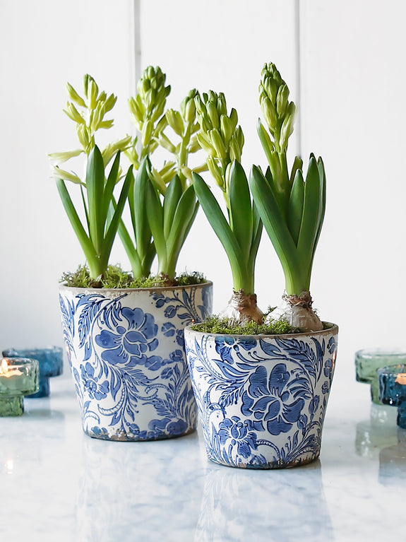 Blue And White Botanical Plant Pot