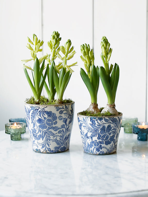 Blue And White Botanical Plant Pot