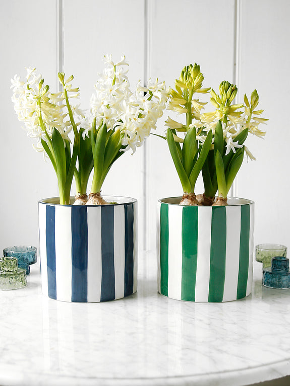 Stripe Glazed Plant Pot