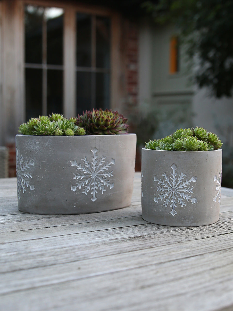 Snowflake Mat Pot Cement Snowflake Plant Pot – Clem & Co