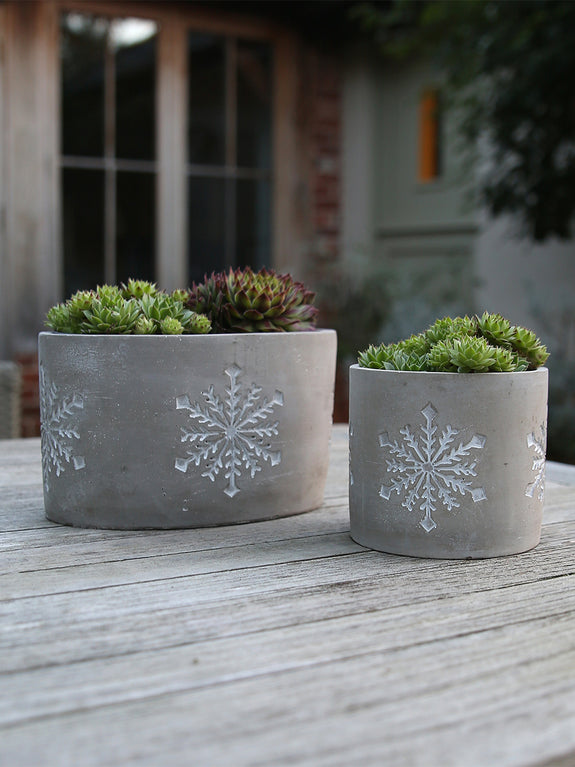 Cement Snowflake Plant Pot