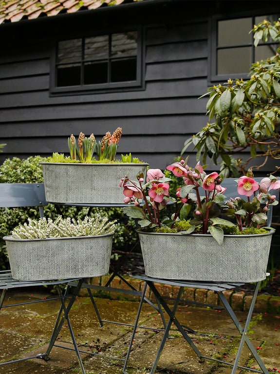 Deco Galvanised Oval Metal Planter