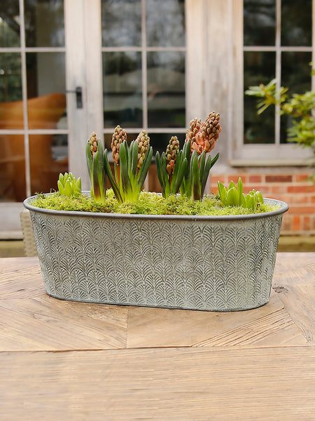 Deco Galvanised Oval Metal Planter