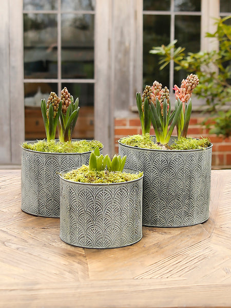 Deco Galvanised Metal Pot