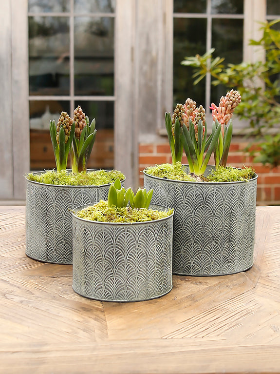 Deco Galvanised Metal Pot