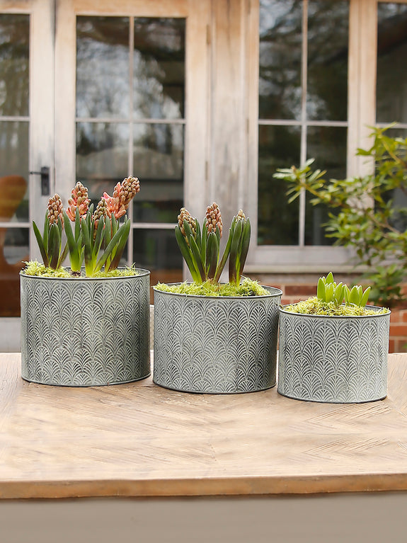 Deco Galvanised Metal Pot