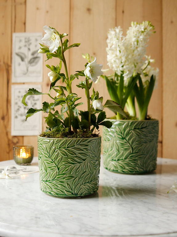 Forest Green Leaves Plant Pot