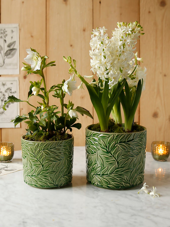 Forest Green Leaves Plant Pot