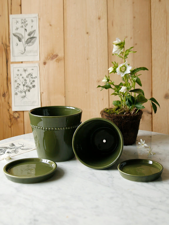 Forest Green Plant Pot With Saucer