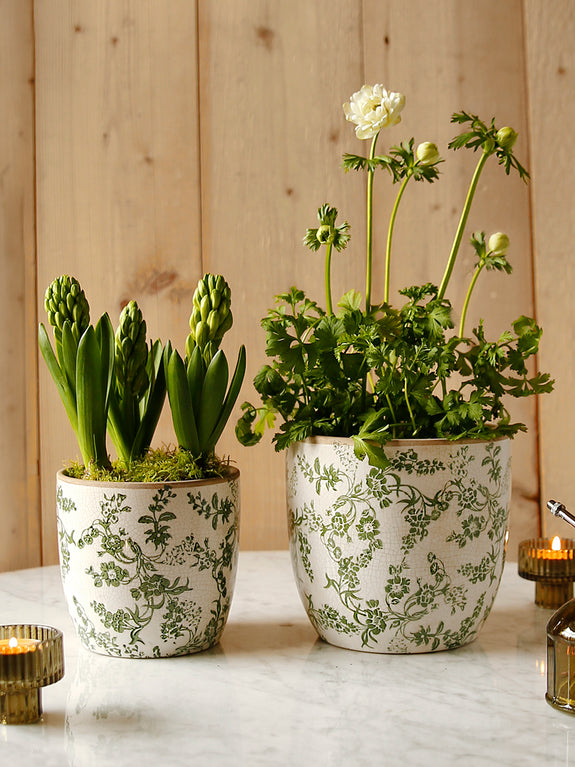 green plant in pot Green Meadow Flower Ceramic Plant Pot – Clem & Co