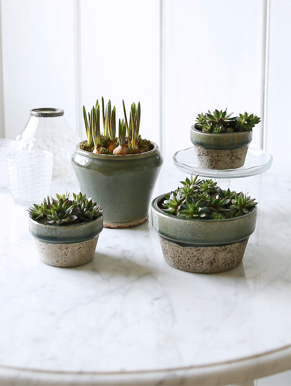 Green and Stoneware Pot Collection