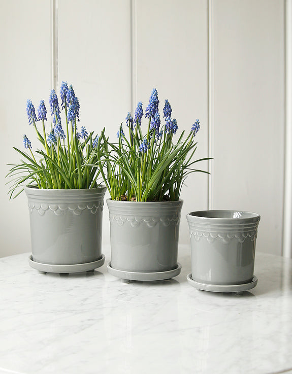 Grey Scalloped Edge Plant Pot