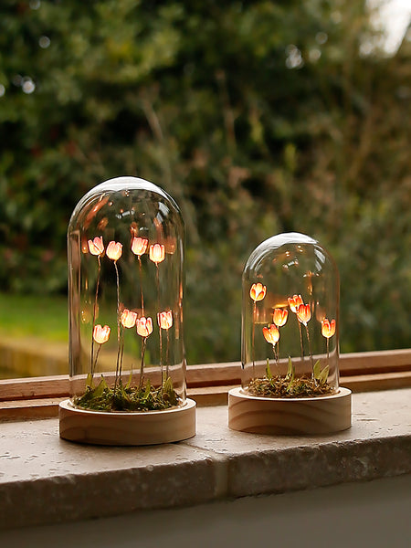 Illuminated Tulips Dome Decoration