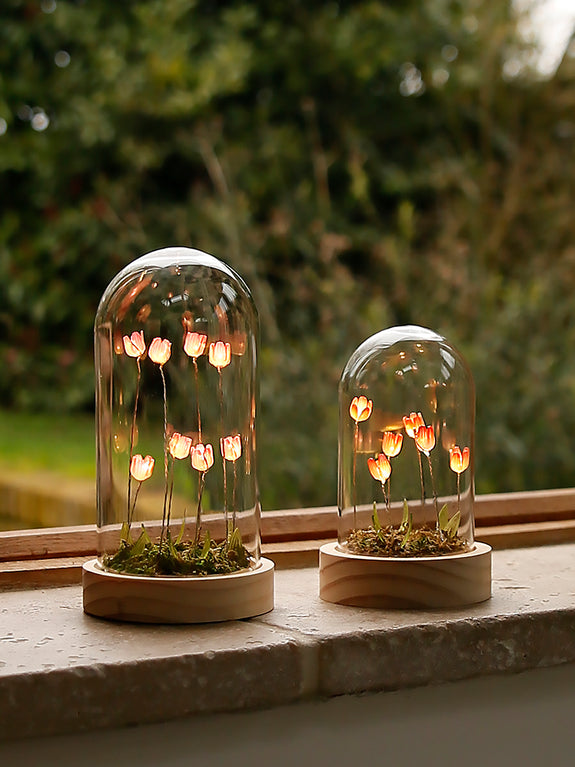 Illuminated Tulips Dome Decoration