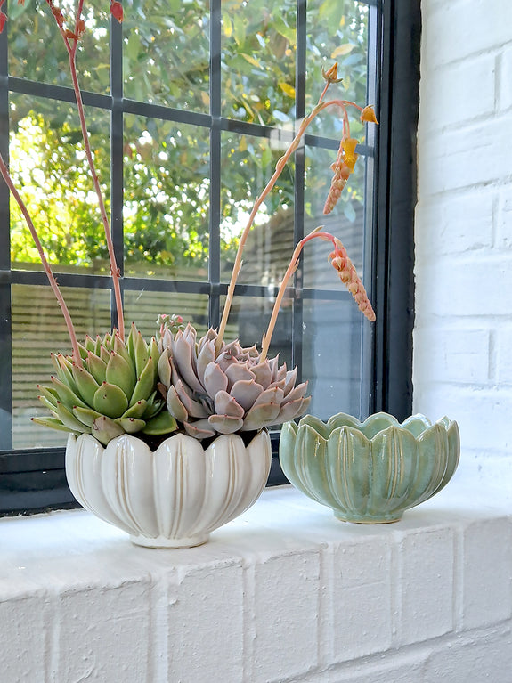 Petal Ceramic Pot