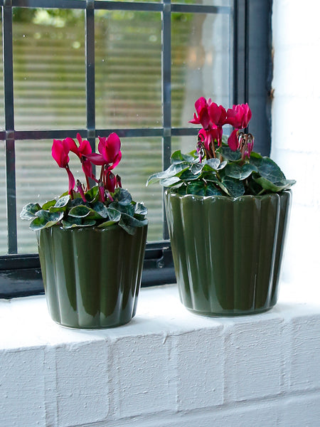 Pine Green Scalloped Pot