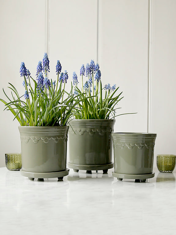 green plant pots Sage Green Scalloped Edge Pot – Clem & Co