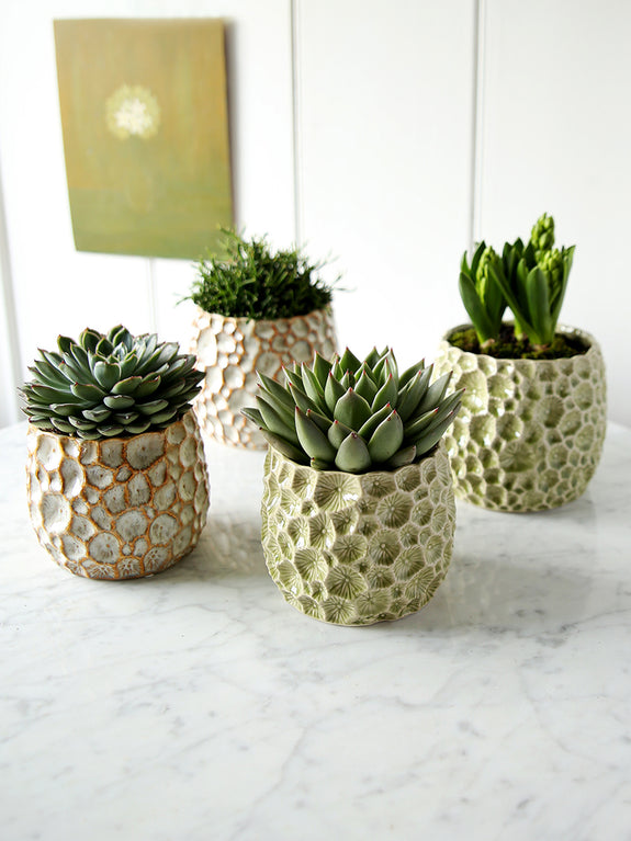 Astro Ceramic Plant Pot