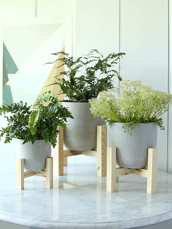 concrete pot plant stand Concrete Planter With Wooden Stand – Clem & Co