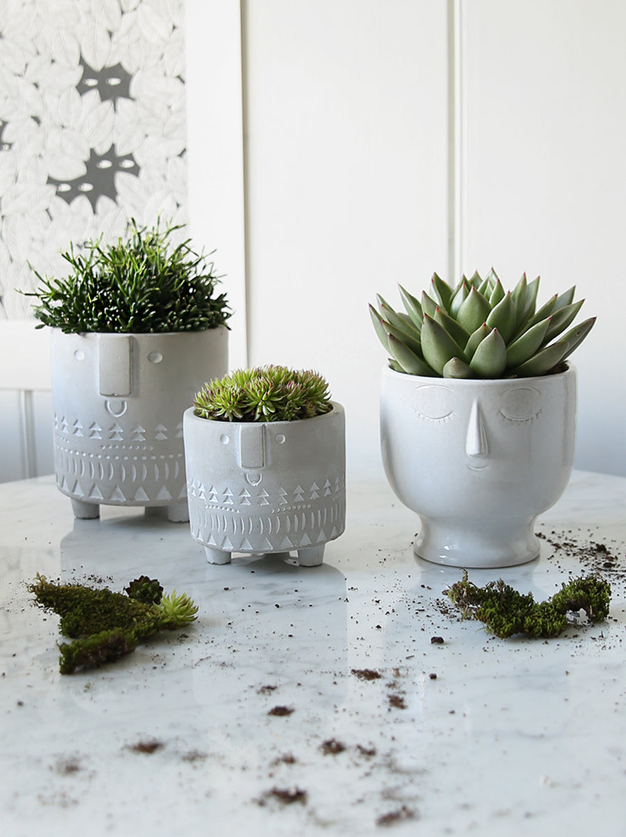face planting pots Face Pot Collection – Clem & Co