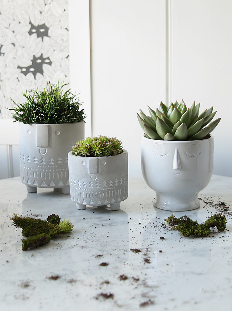 ceramic face flower pots Face Pot Collection – Clem & Co