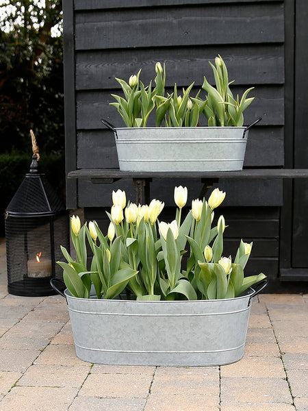 Oval Metal Planter With Black Handles