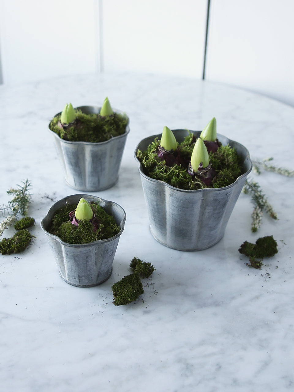 Scalloped Metal Plant Pot – Clem & Co