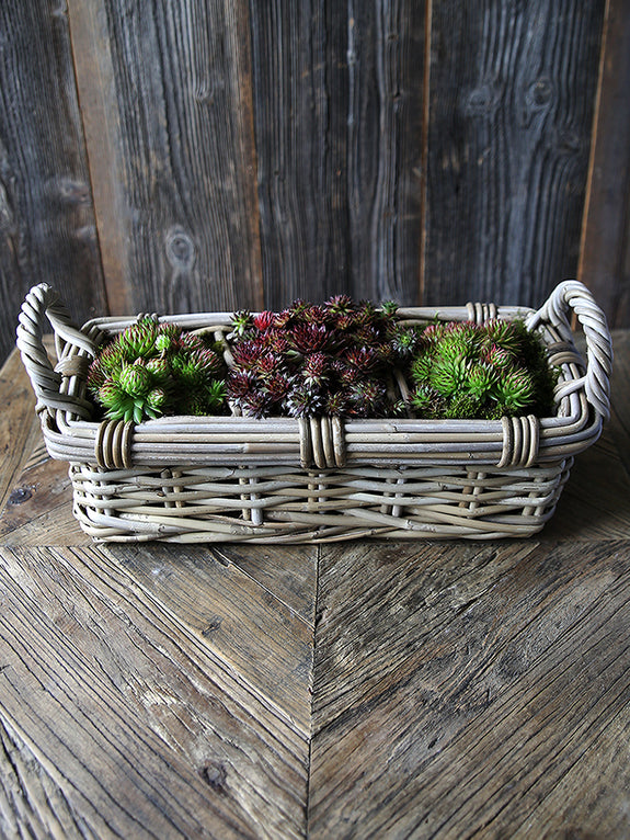Willow Plant Basket