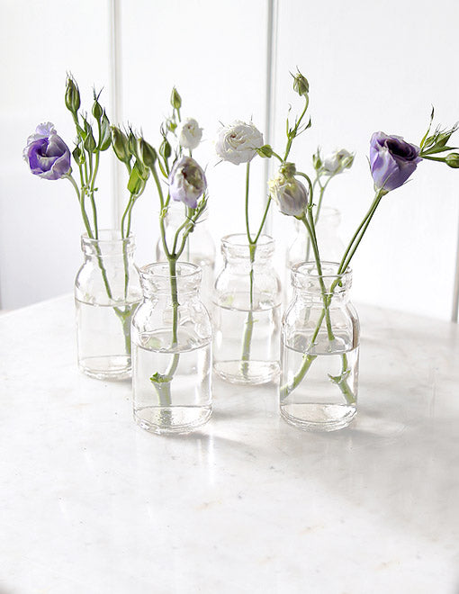 Mini Milk Bottle Glass Vase